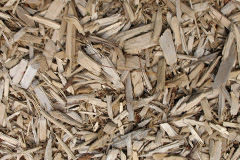 biomass boilers Clunes